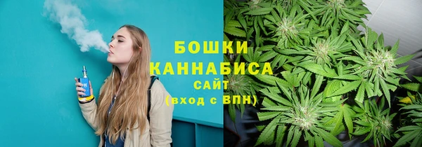 крисы Ельня