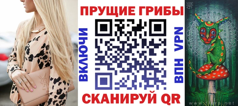 Псилоцибиновые грибы GOLDEN TEACHER  цены наркотик  hydra вход  Шилка 